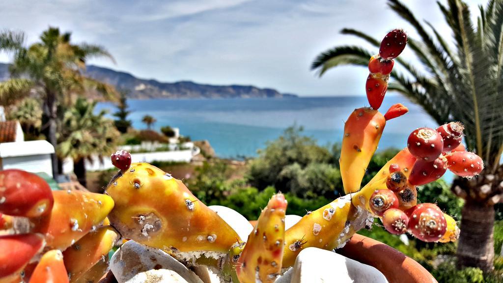 Villa Carabeo نيرخا المظهر الخارجي الصورة